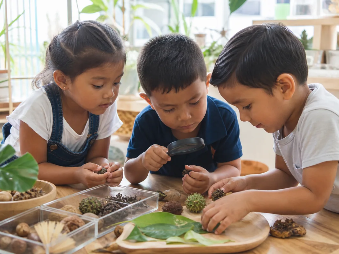 Tres niños observan hojas y semillas con una lupa en la mesa de descubrimientos